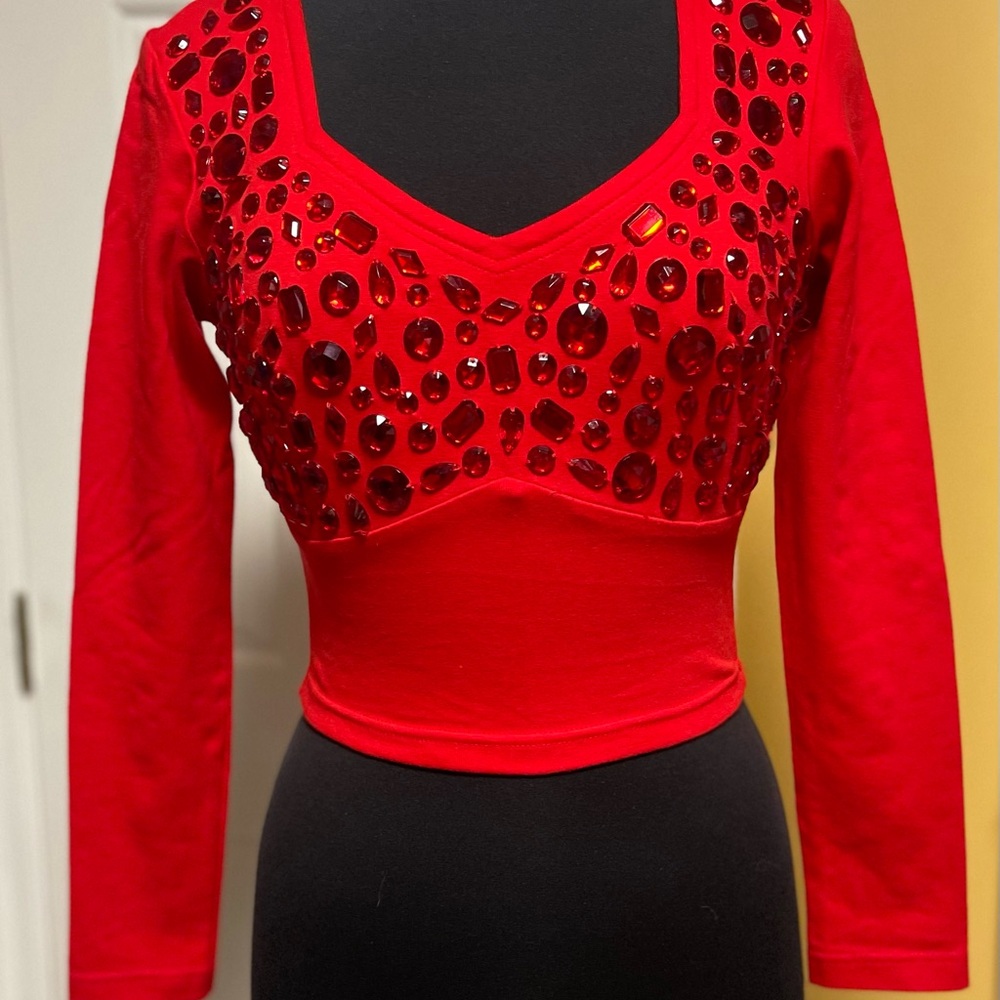Vintage-Red Embellished V-Neck Long Sleeve Crop Top by